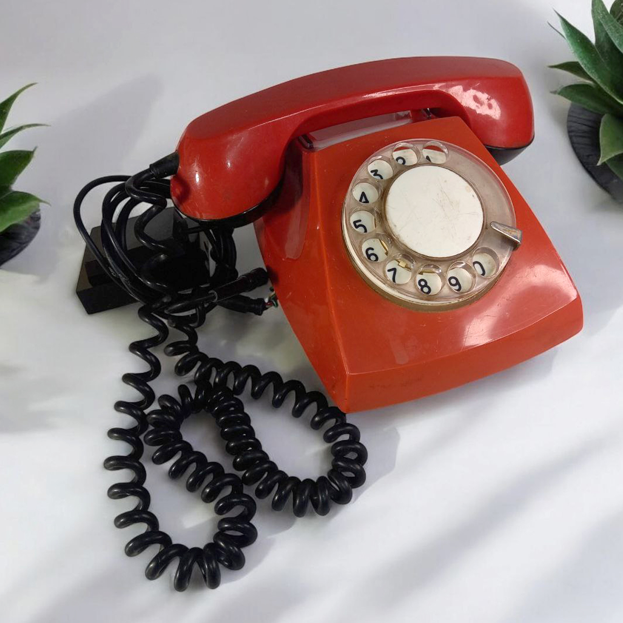 �������. ��������� �������� ��������!