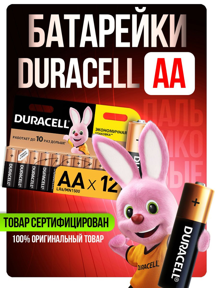 Duracell Aa