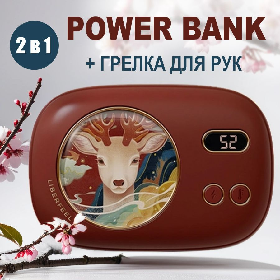 Power Bank