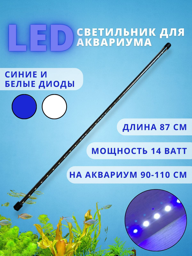 Led