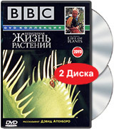 BBC: Невидимая жизнь растений (2 DVD) #1