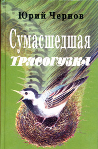 Сумасшедшая трясогузка #1