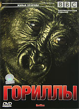 BBC: Гориллы #1
