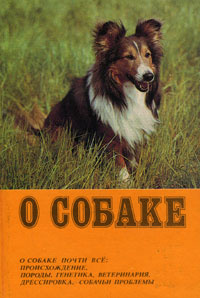 О собаке #1