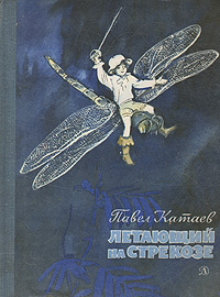 Летающий на стрекозе | Катаев Павел Валентинович #1