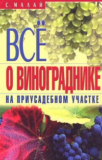 Все о винограднике на приусадебном участке #1