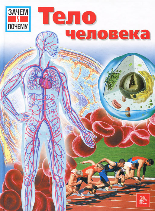 Тело человека #1