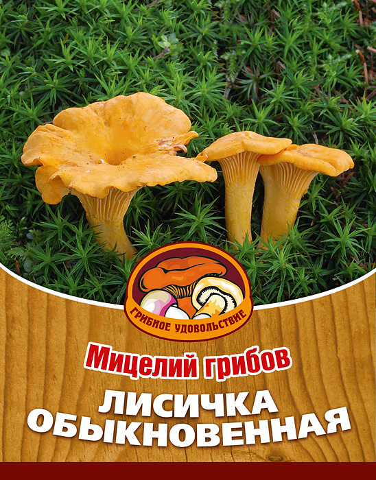 Мицелий грибов "Лисичка обыкновенная", субстрат, 60 мл #1
