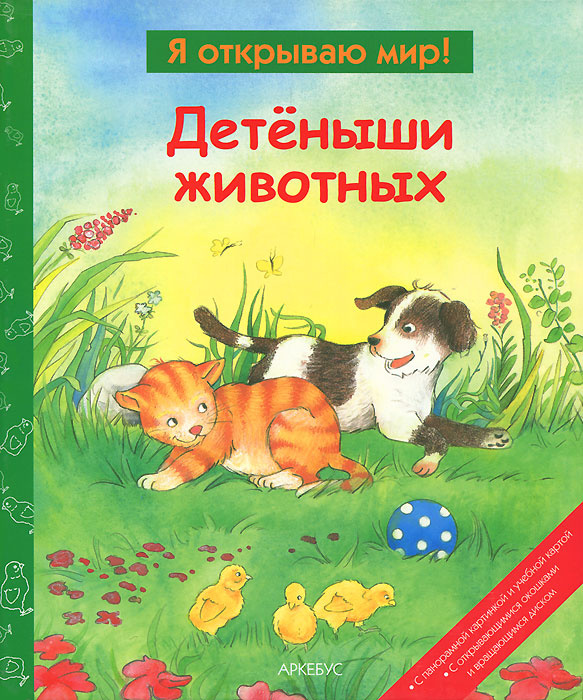 Детеныши животных #1