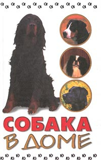 Собака в доме #1