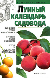 Календарь #1