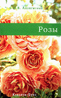 Розы #1