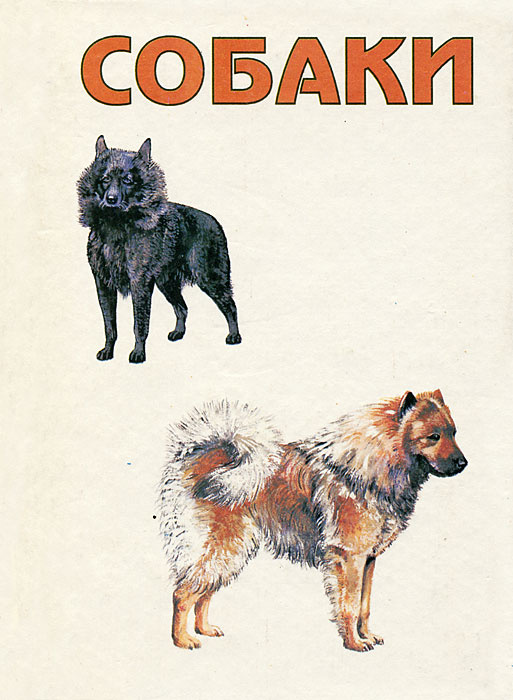 Собаки #1