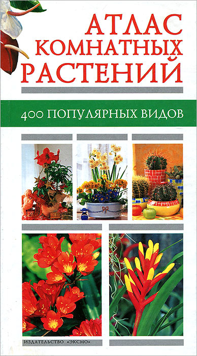 Атлас комнатных растений. 400 популярных видов - купить с доставкой по ...