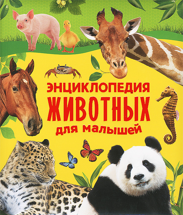 Энциклопедия животных для малышей | Алексеева Екатерина Александровна, Гуричева Екатерина Александровна #1