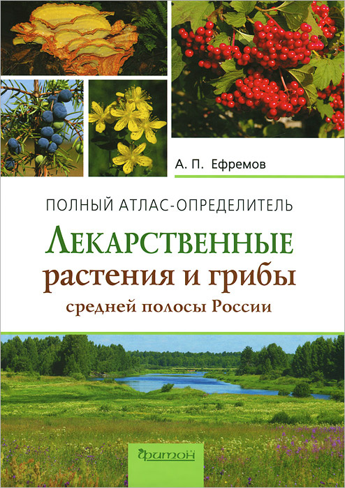 Одуванчики, мак и мята: за какие растения могут оштрафовать дачников