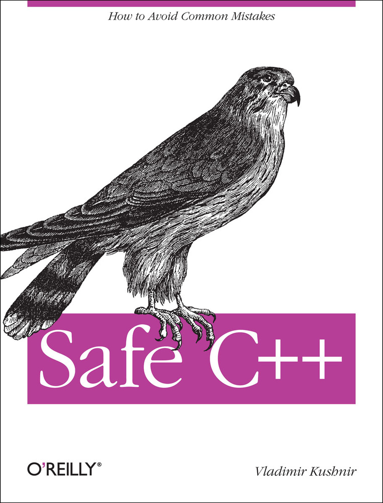 Safe C++ #1