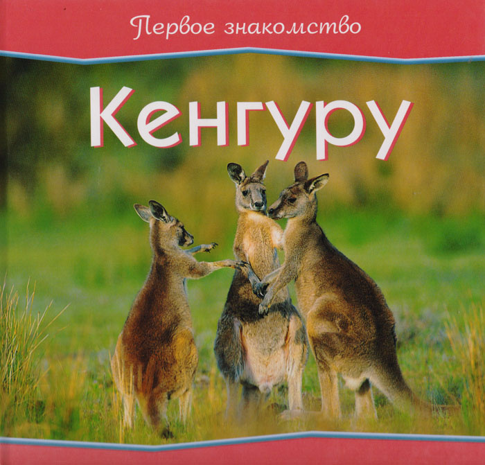 Кенгуру #1