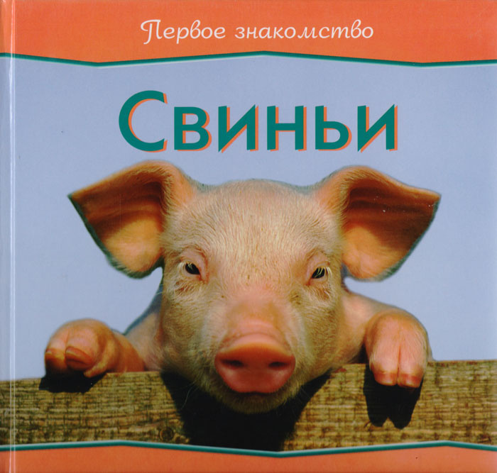 Свиньи #1