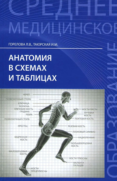 Анатомия в схемах и таблицах. Учебное пособие | Горелова Людмила ...