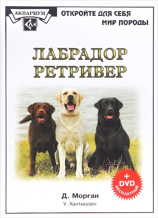 Лабрадор уход и содержание. Детская книга про лабрадора. рекомендации по содержанию лабрадоров. лабрадор деньги.