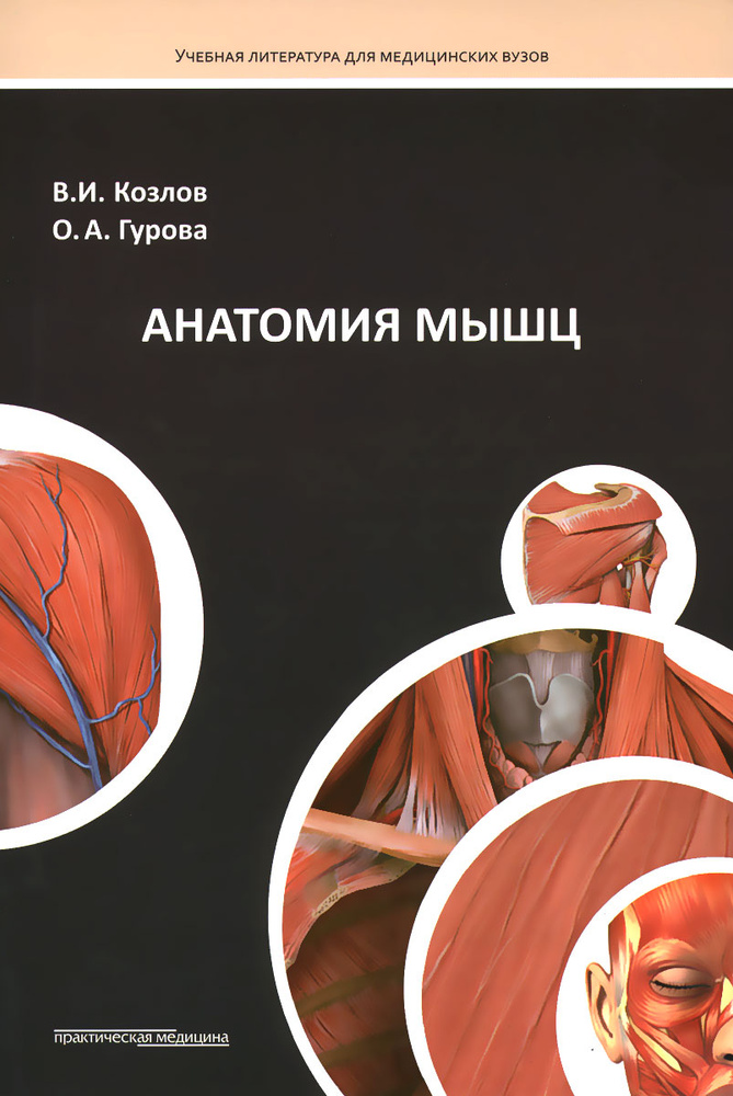 Анатомия мышц. Учебное пособие | Гурова Ольга Александровна, Козлов Валентин Иванович  #1