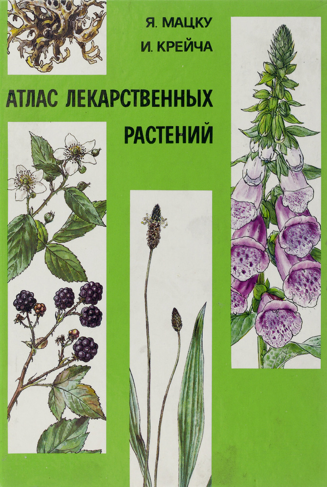 Атлас лекарственных растений | Крейча Индржих, Мацку Ян - купить с ...