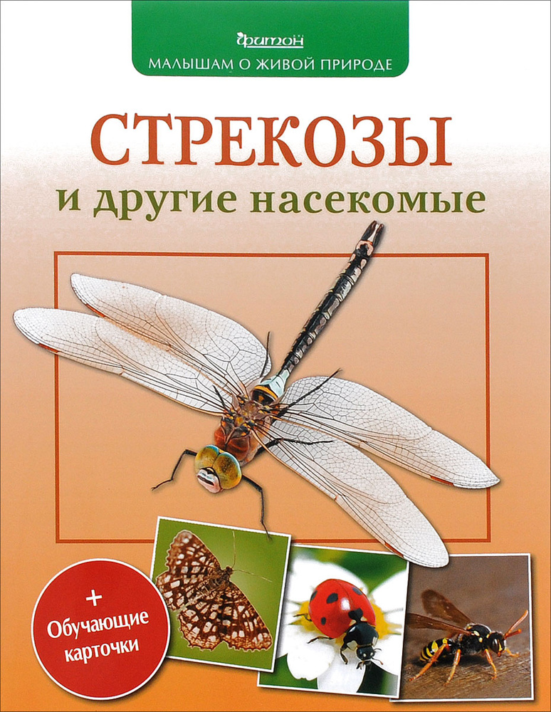 Стрекозы и другие насекомые | Волцит Петр Михайлович #1
