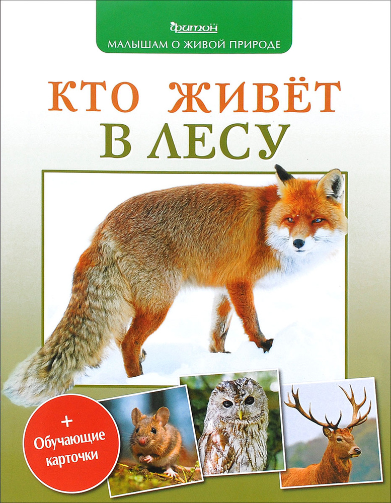 Кто живет в лесу | Волцит Петр Михайлович #1