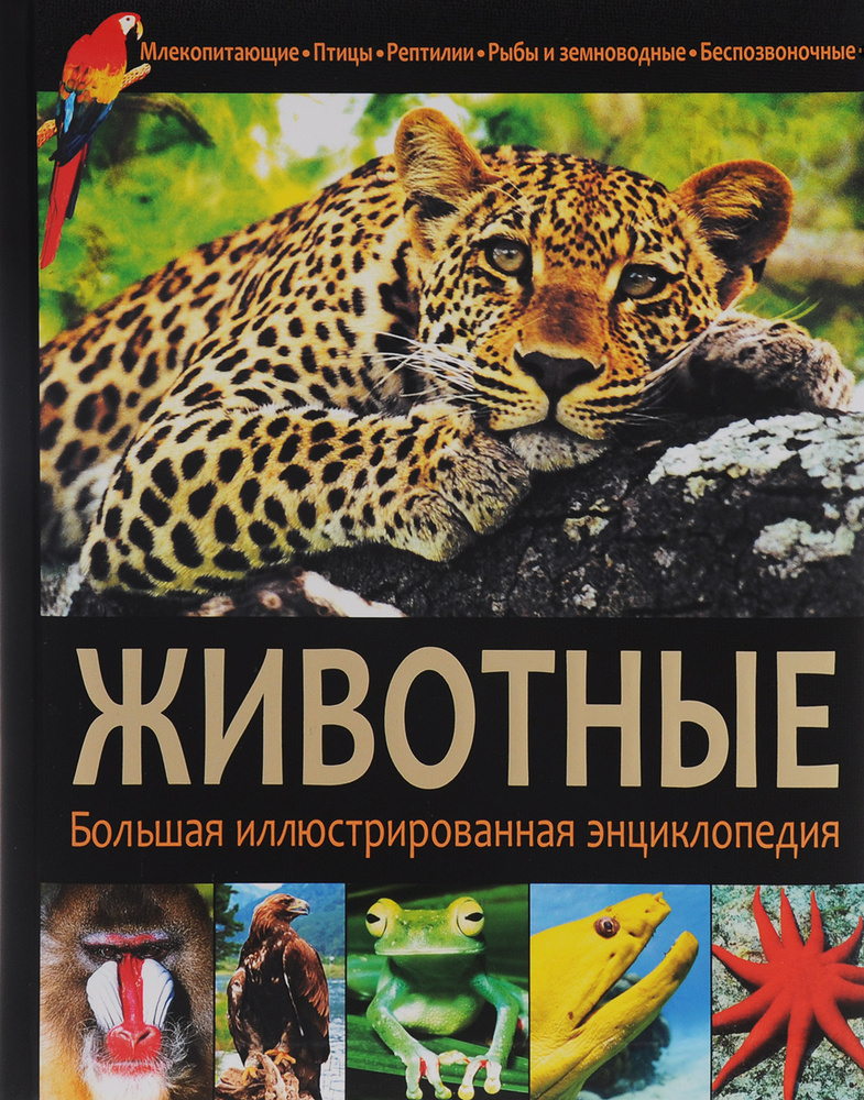 Животные #1