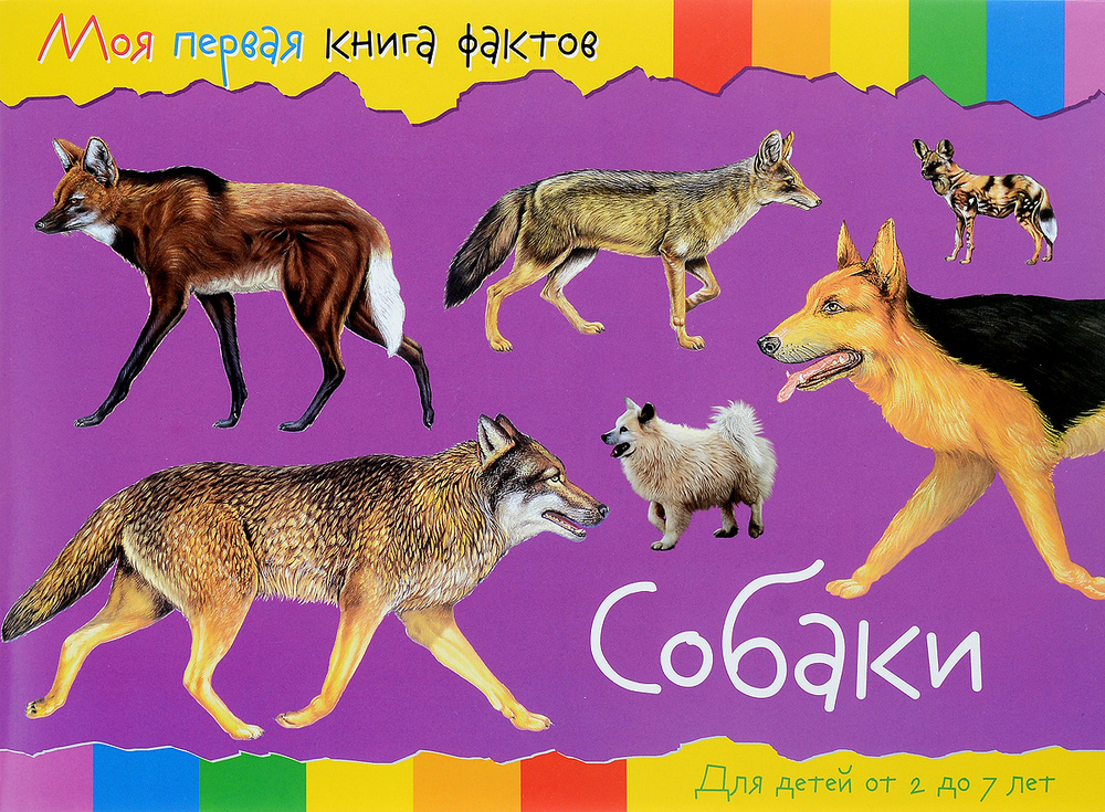 Моя первая книга фактов. Собаки. Развивающая книга #1