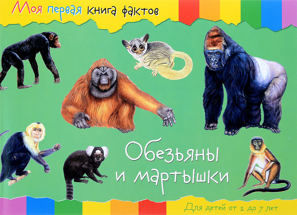 Моя первая книга фактов. Обезьяны. НД плэй / ND Play/ Познавательная детская энциклопедия 2+ #1