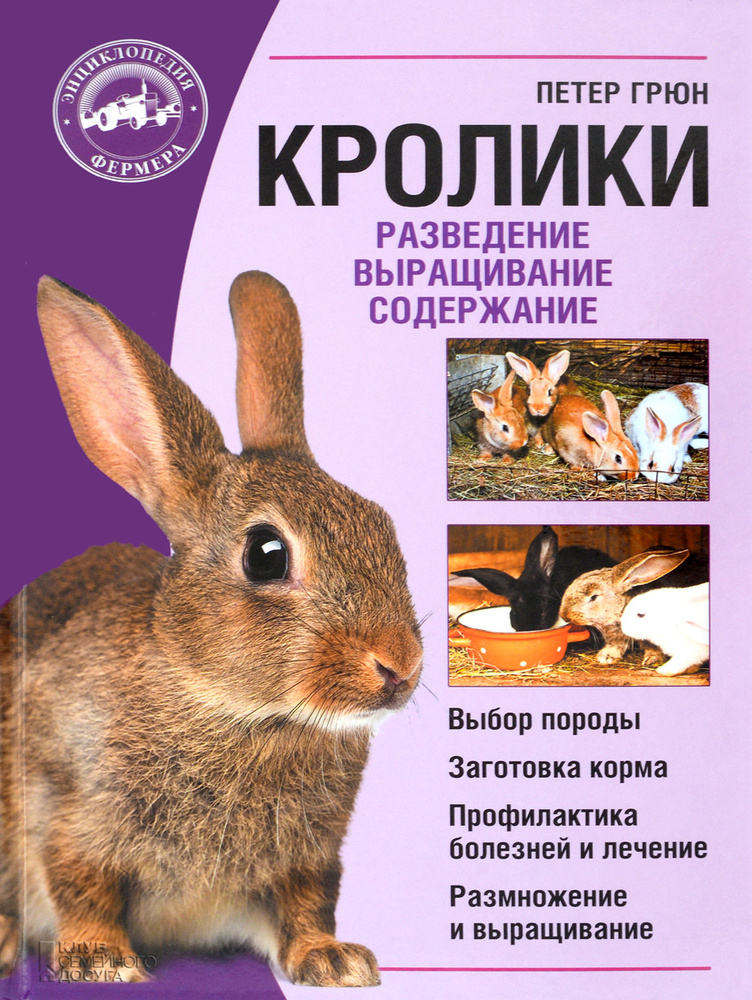 Кролики. Разведение. Выращивание. Содержание | Грюн Петер #1