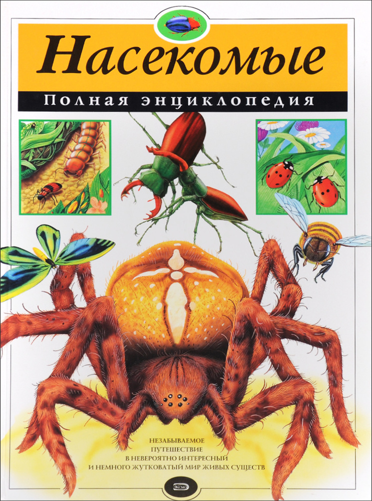 Насекомые. Полная энциклопедия | Грин Тамара - купить с доставкой по ...
