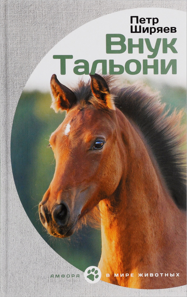 Внук Тальони #1