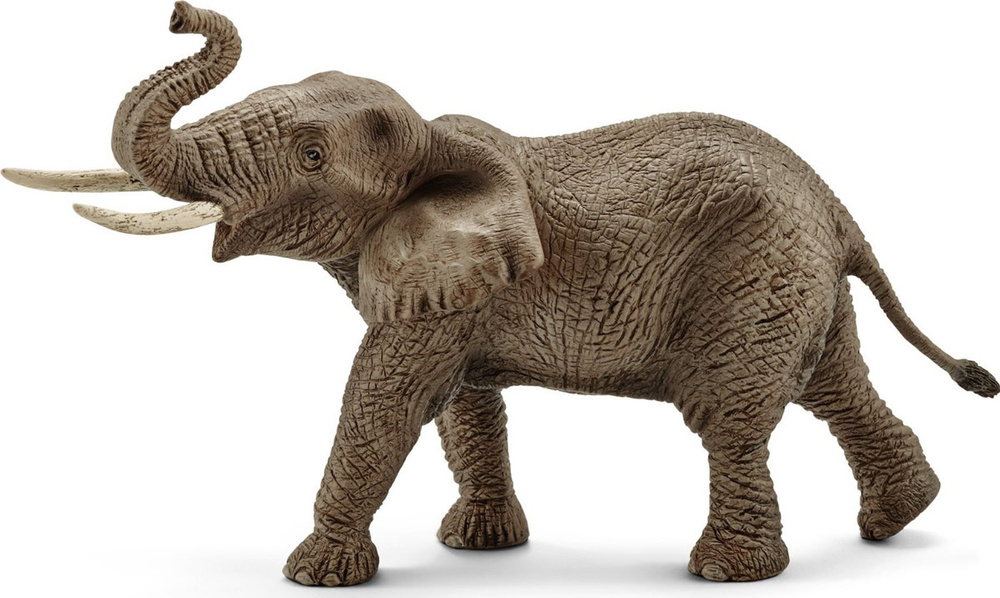 Schleich Фигурка Африканский слон #1