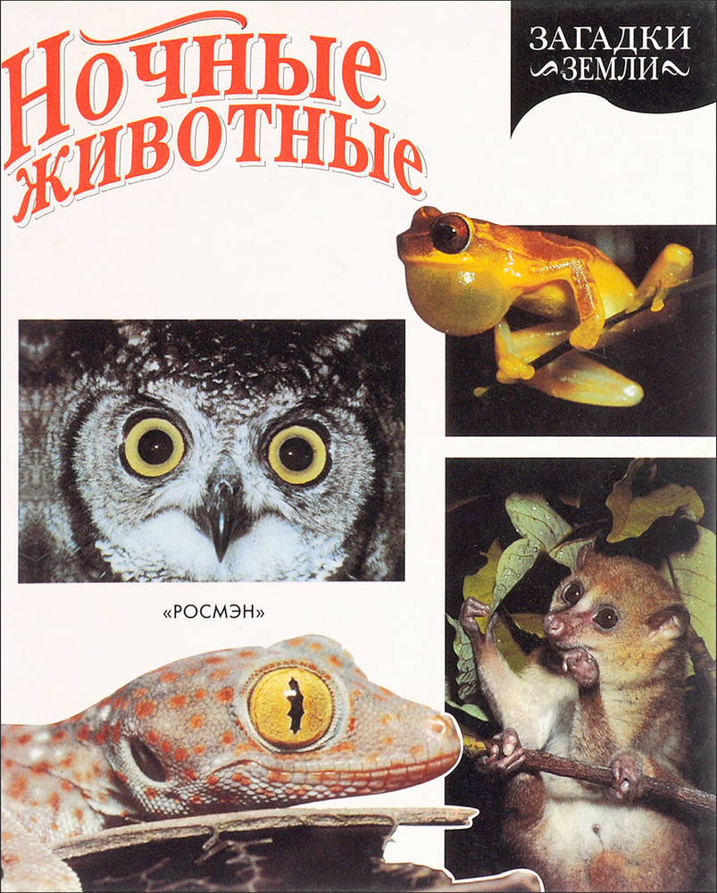 Ночные Животные #1