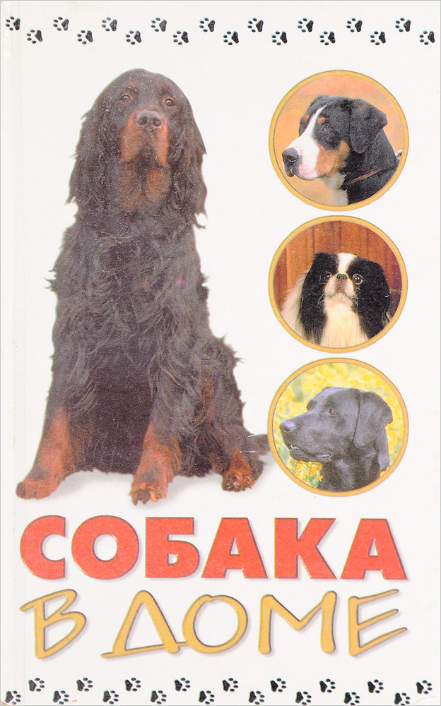 Собака в доме #1