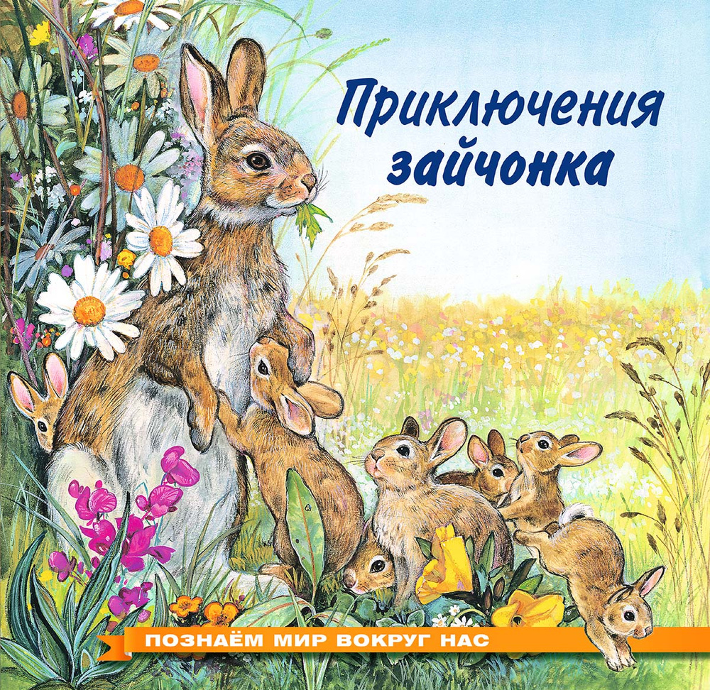 Приключения зайчонка | Гурина Ирина Валерьевна #1