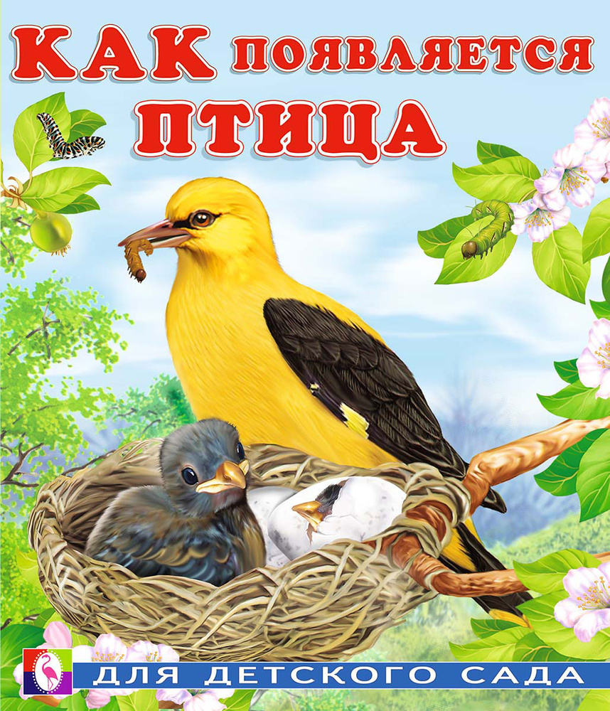Как появляется птица #1