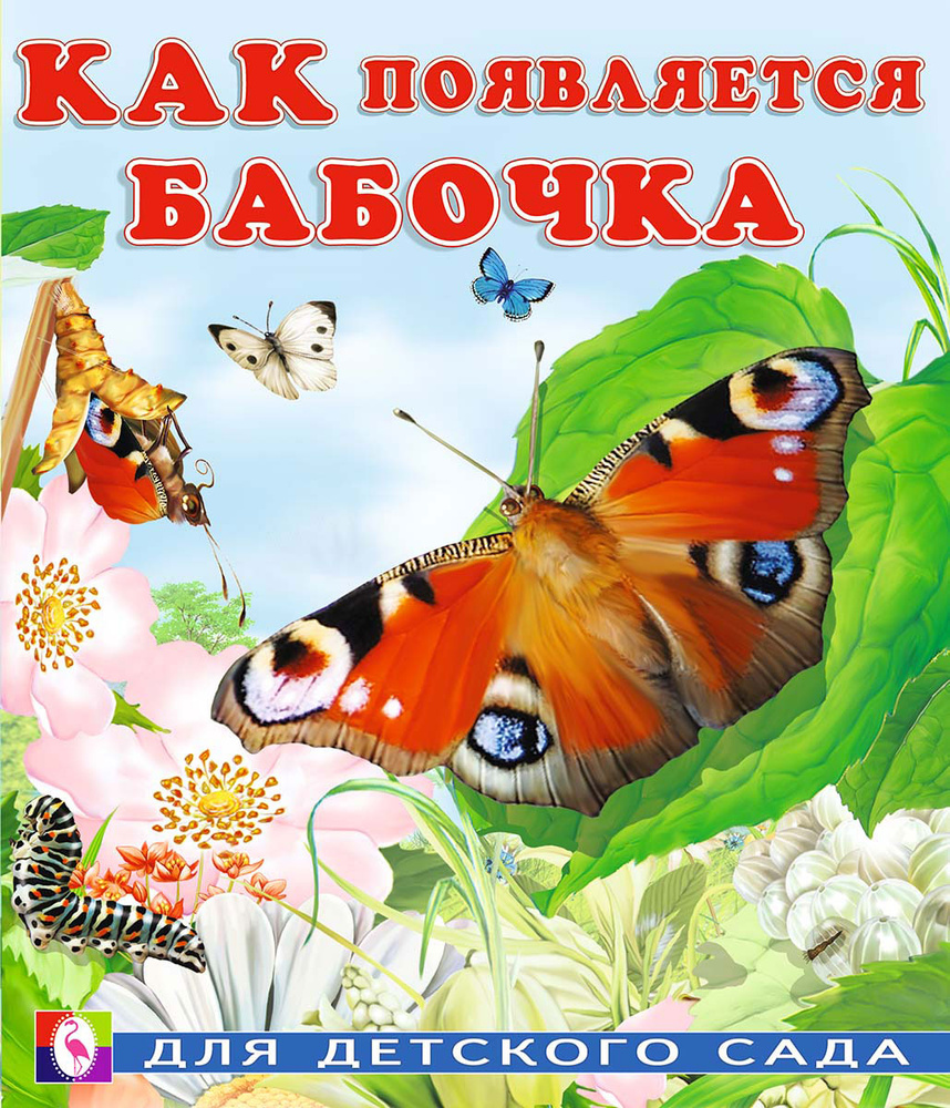 Как появляется бабочка #1
