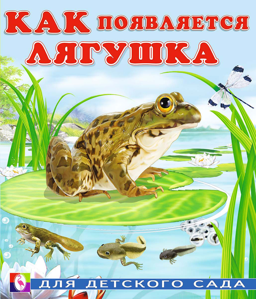 Как появляется лягушка #1