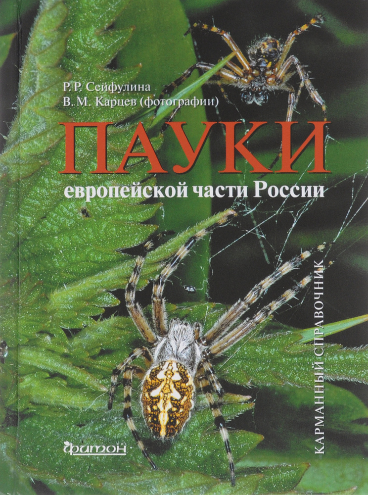 Пауки европейской части России | Сейфулина Римма Равильевна #1