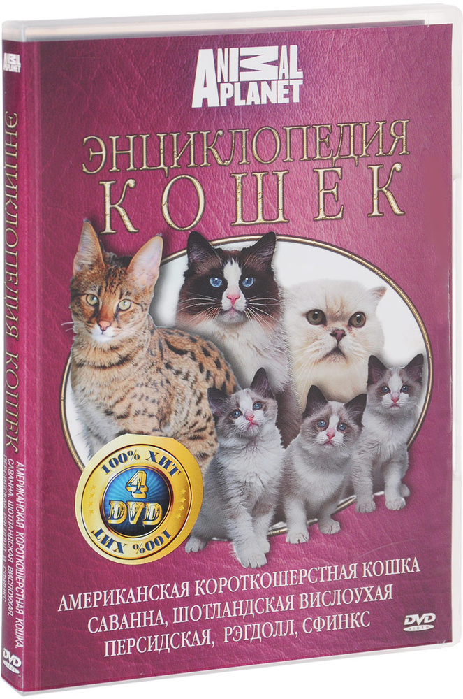 Товары для кошек и котят