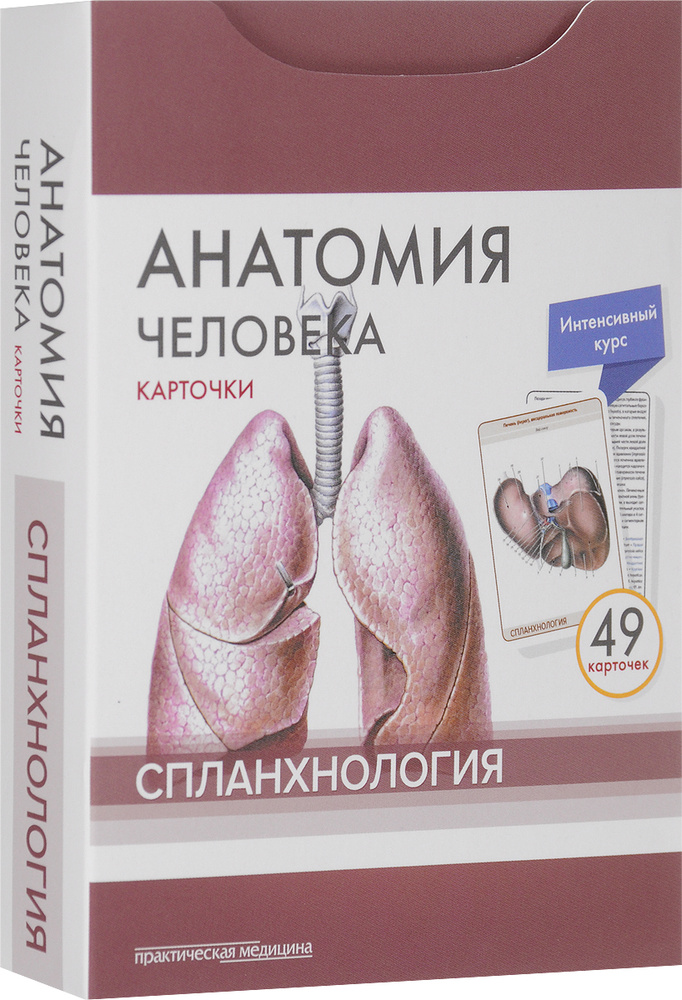 Анатомия человека. Спланхнология. Учебное пособие (набор из 49 карточек) | Сапин Михаил Романович, Николенко #1