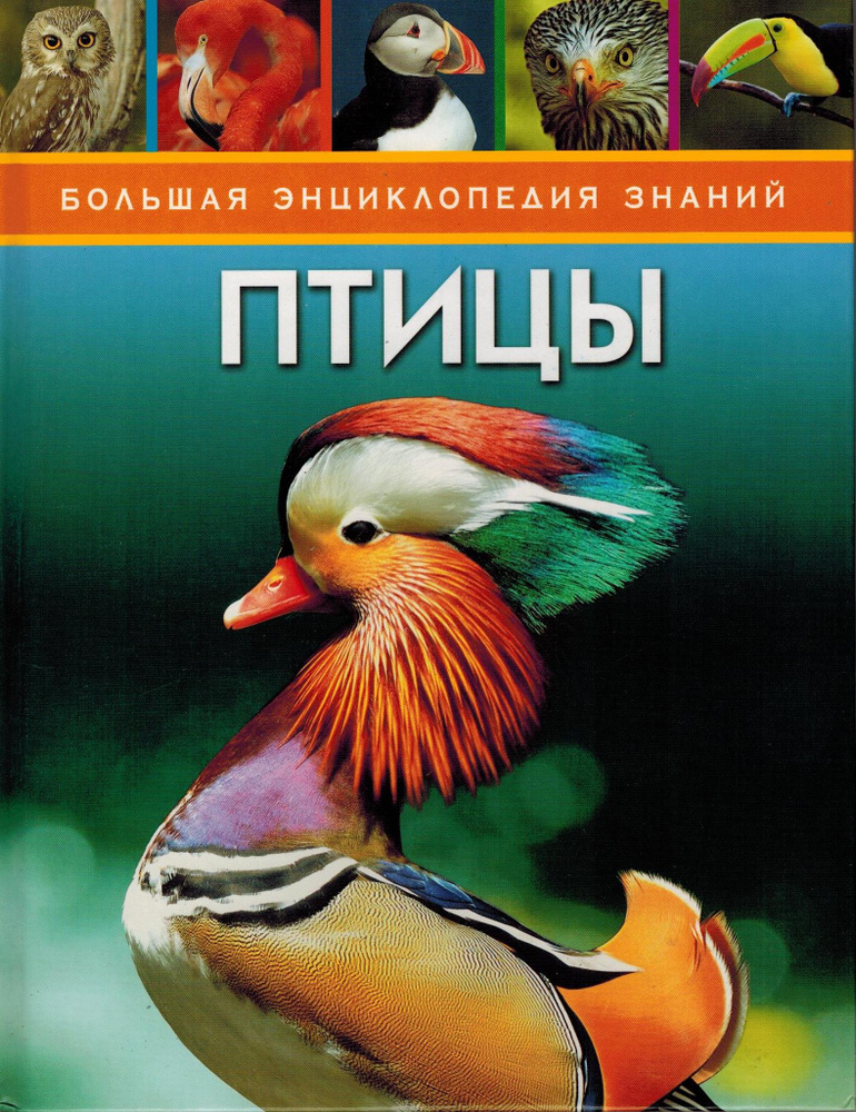 Птицы #1