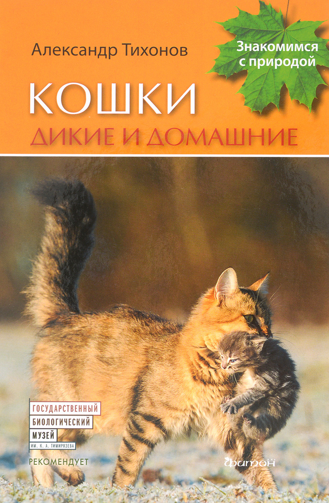 Кошки дикие и домашние | Тихонов Александр Васильевич #1