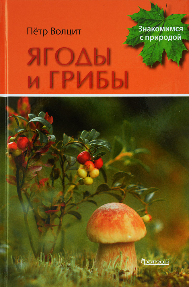 Ягоды и грибы #1