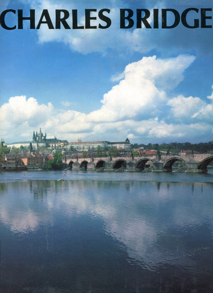 Charles Bridge #1