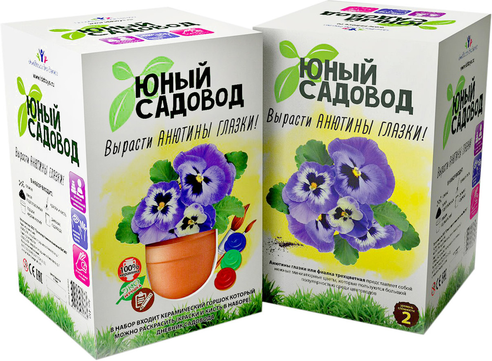 Висма Набор для выращивания Вырасти анютины глазки - купить с доставкой ...